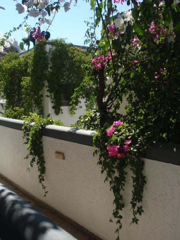 Fevro Hotel Agia Galini Zimmer foto